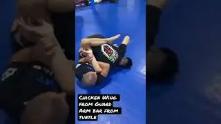 Chicken Wing from Arm Bar - Submission Transition