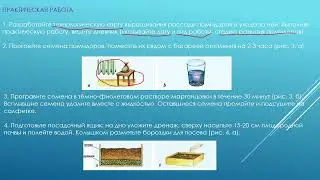 Демонстрация PowerPoint   технология 5ый класс 2025 12 15 14 46 33