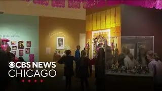 Dia de Muertos exhibit on display at National Museum of Mexican Art
