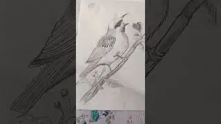 cute bird drawing 😍