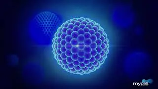MyCell Technology. Pure bioavailability.
