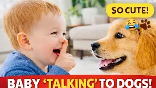 You&rsquo;ll Smile Instantly Watching This Baby with Dogs 😂