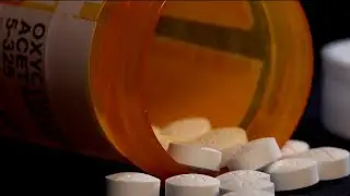 Project Opioid data shows historic drop in overdose deaths across Central Florida