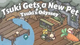 How to Get a Gecko! Tsuki’s Odyssey 🥕