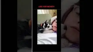 #dailylaughs #funnymemes #bestofmemes #funnyvideos #funnybabyfaces #hilarious #humor #comedy