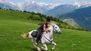 Timilai Chahe... || Nepali Morden Song|| by Abha Mukarung