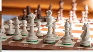 Let's Play Chess in Lichess.org ||