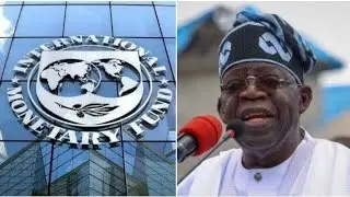 IMF Warns Nigeria as Tinubu Budgets N6.1B for 2025 Foreign Trips | Concerns Over Reckless Spending