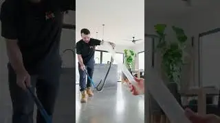 Deadly Snake Found in Bathroom! (Eastern Brown Snake)