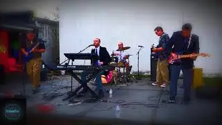 The Mercurials - Rockstar LIVE at Corunna Rd. Bar