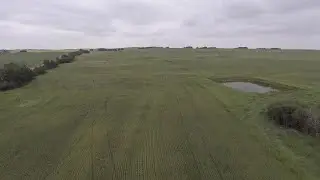 Protecting natural and agricultural ecosystems