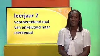 Leerjaar 2 Enkelvoud naar meervoud
