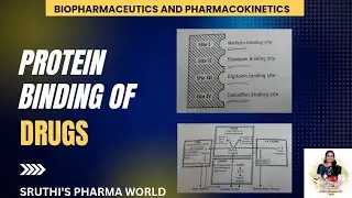 Protein binding of drugs in malayalam|#sruthispharmaworld #biopharmaceutics