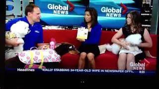 Flirt news