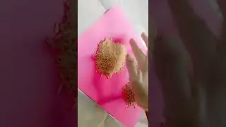 Basmati Rice 🌾 Falling in paper/Raw Rice Eating Asmr/ #satisfying #asmr #food #basmati_rice