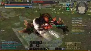 [Raiderz] Master of Garden - Berzerker SOLO - Fadestep