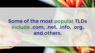 Domains to Gold - Domain Name Speculation for Mere Mortals