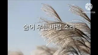 ✨이정옥 – 숨어 우는 바람 소리｜Flute Cover (플룻연주)✨