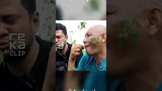 jangan ya dek ya ular weling berbisa #shortvideo #viralvideo credit: @panji petualang
