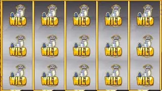 Kakiemon WON 💲 5000 💰💰🤑💵🥳