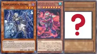 Playing 9 HAVNIS In Tearlament?!?!