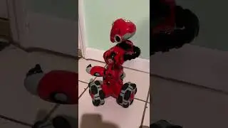 (Goodwill find) wowwee tribot