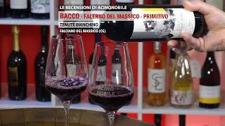 Falerno del Massico | Primitivo | Tenute Bianchino