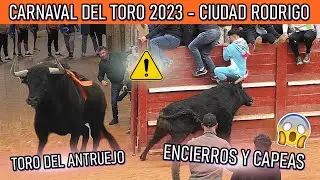 Sustos !!😱🚨CARNAVAL DEL TORO 💥CIUDAD RODRiGO 🔥🌶TORO ANTRUEJO Y CAPEA DE LA TARDE😱