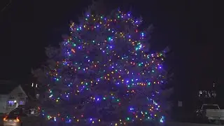 Blue Hill celebrates annual Christmas tree lighting