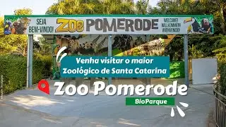 Zoo Pomerode BioParque | Conhe&ccedil;a o maior Zool&oacute;gico de Santa Catarina