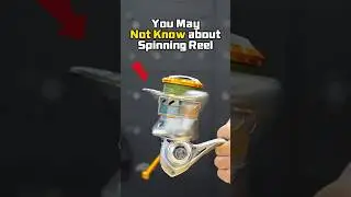 4 things you may not know about spinning reel #fishing  #spinningreel #fishingtips #fishingreel