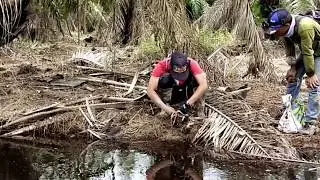 Mantap!!..Mancing Ke Sarang Belut, Bersama 