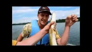 Fishing Pike & Spotting Swimming Deer at Cowan Lake, Saskatchewan