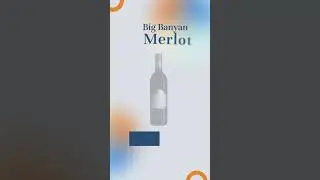 Best Wines Under Rs.1000 #shorts