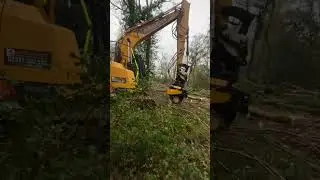 Liu Gong Interlam 800 Grapplesaw Ash Dieback #chainsawman #forestmachine #grapplesaw #liugong