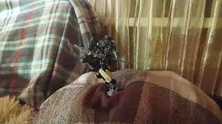 Epic Bionicles Battle !!!ACTION!!!