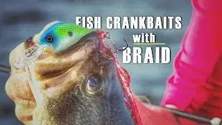 Why to Consider Braided Fishing Line for Cranking