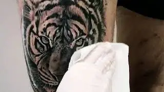 Tattoo Tiger finish