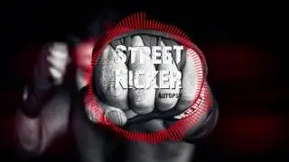 Auto-Psy : Street Kicker