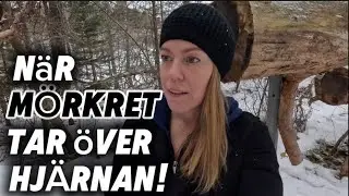 N&auml;r M&Ouml;RKRET tar &ouml;ver hj&auml;rnan! #folket #h&auml;lsa 