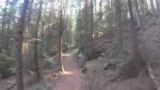 Mountainbike at Rodalben - Pfalz, Germany