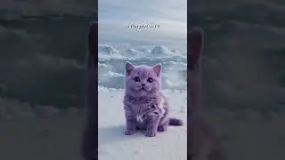 ❄️ Cute Purple Kitten Shivering in the Arctic 🐾💜