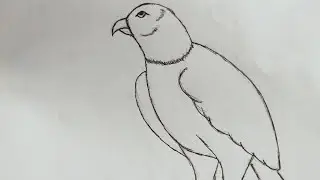 How to Draw a Bald Eagle 🦅 | Bala Eagle Drawing easy Step by Step | Drawing tutorial