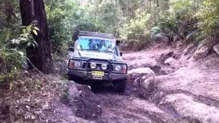 Yalwal Monkey Gum Trail