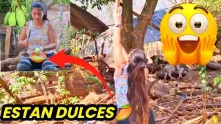 SALIMOS ABUSCAR MANGOS Y MIREN COMO LOS PREPARAMOS😋 . NO FUE COMO ME LO ESPERABA 😫