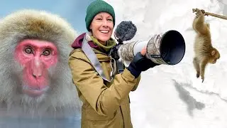 I Filmed Japanese Macaques All Day and This Happened!