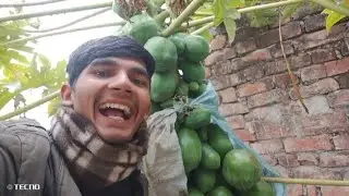  🔥 Ye Papeeta Dekh Ke Dimag Hil 😱 Gaya #desivlog#villagevlog 