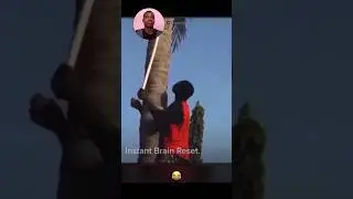 instant brain reset 💀 #memes