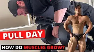 Training Split, Macros | Pull Day | How Do Muscles Grow?