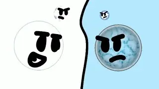 Procyon vs Sirius/Who will Win ?  Cringe =comment